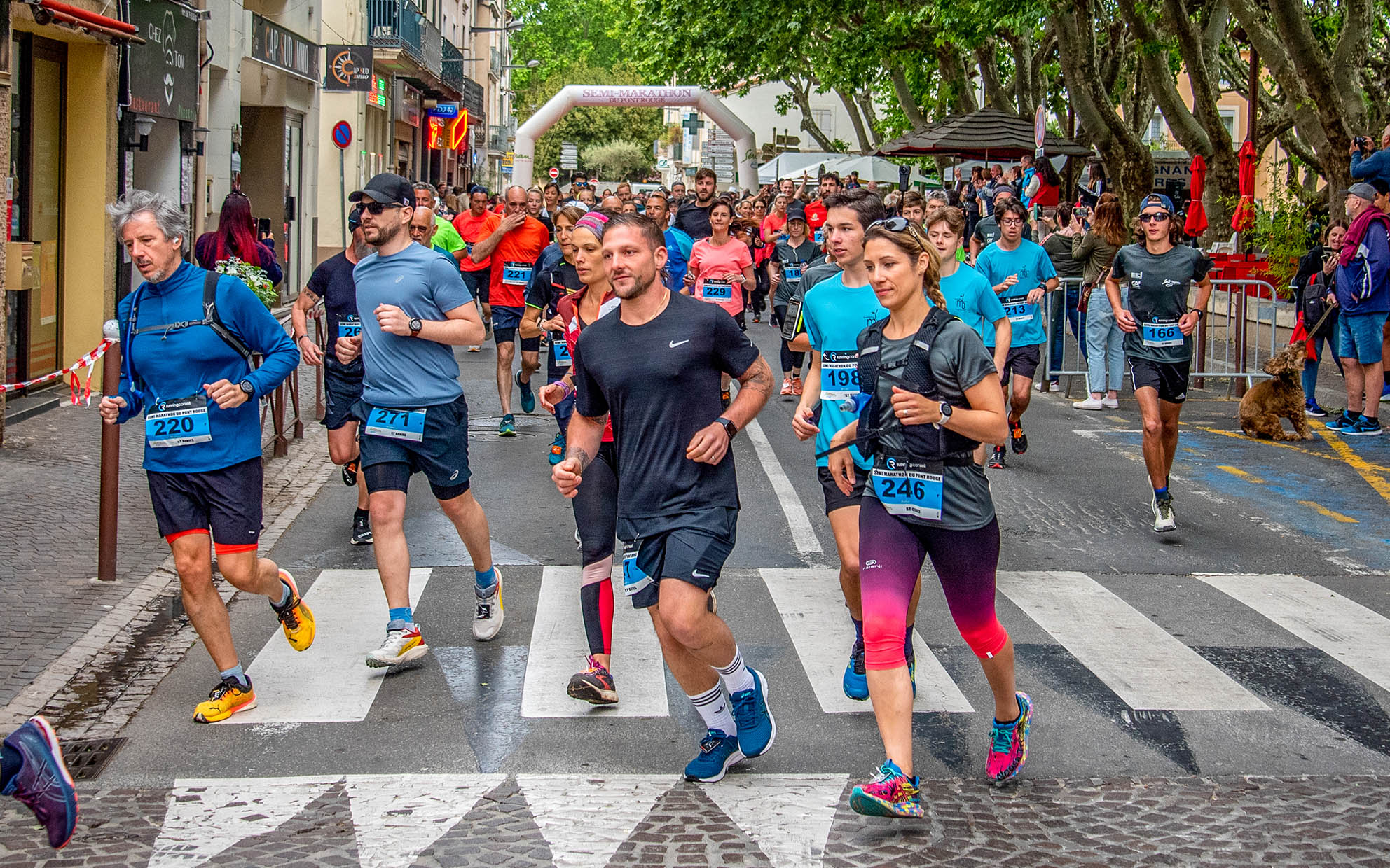 Semi-Marathon du Pont Rouge 2025