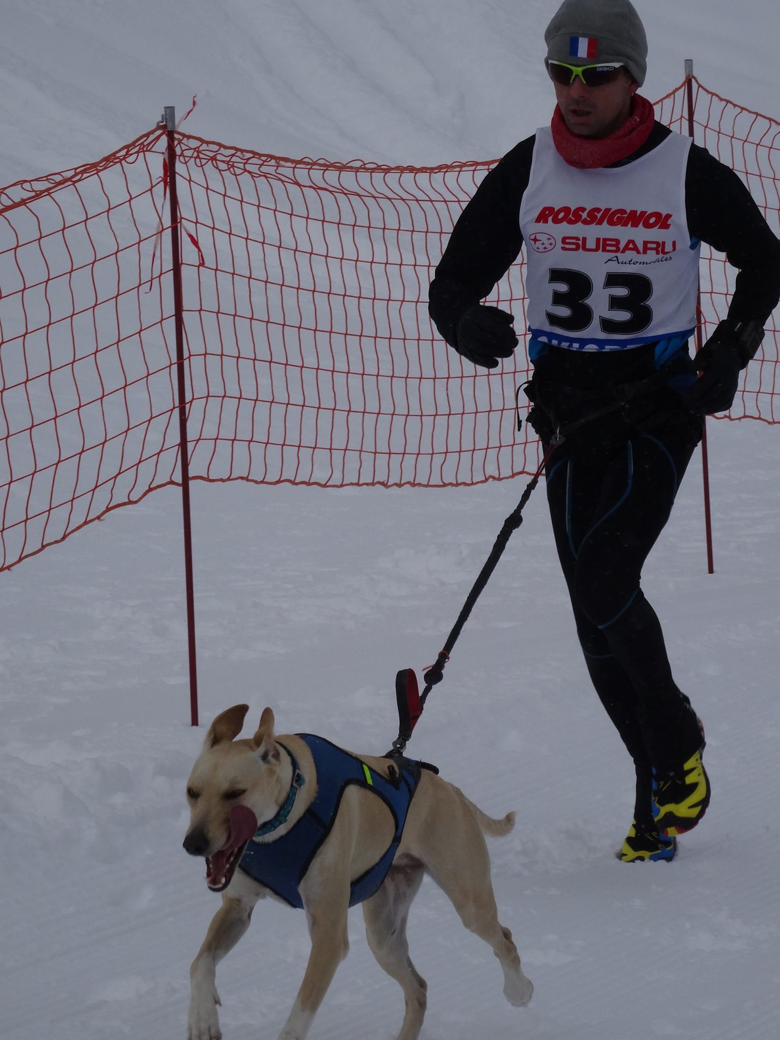 Canicross Font Romeu